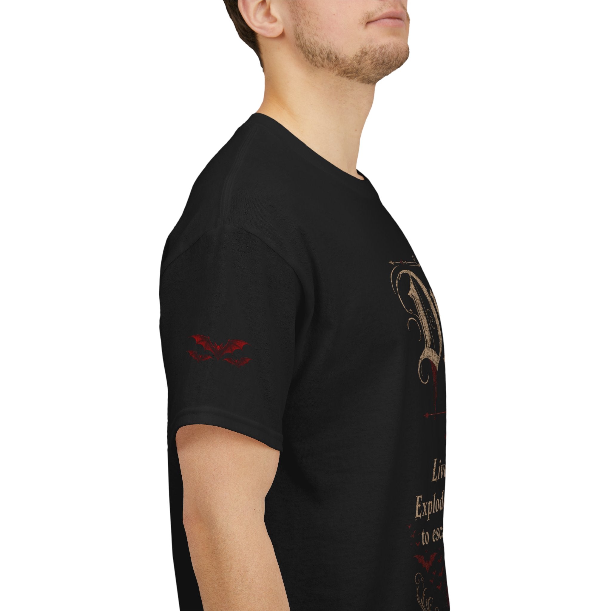 Dracula Had It Right Gothic Literary Tee