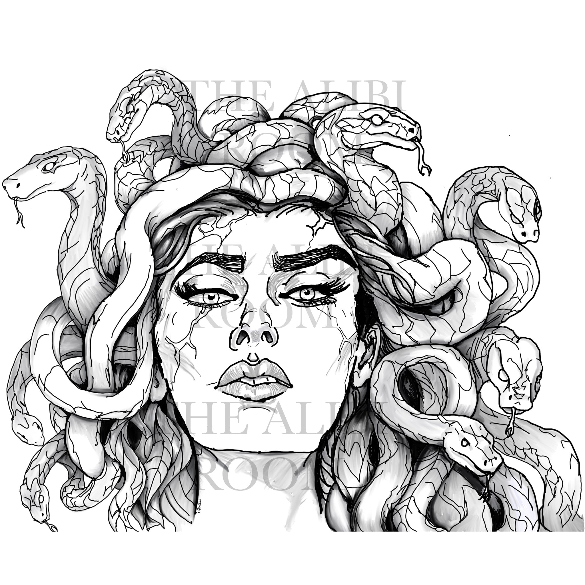 The Gaze of Medusa